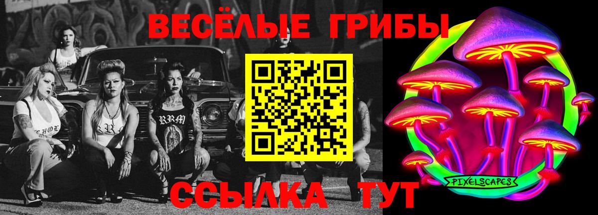 Мценск  Галлюциногенные грибы Psilocybine cubensis  Вход с VPN  Галлюциногенные грибы ЛСД 